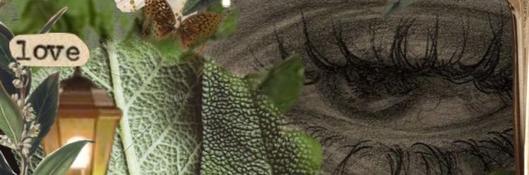 lahzaselis's profile banner image