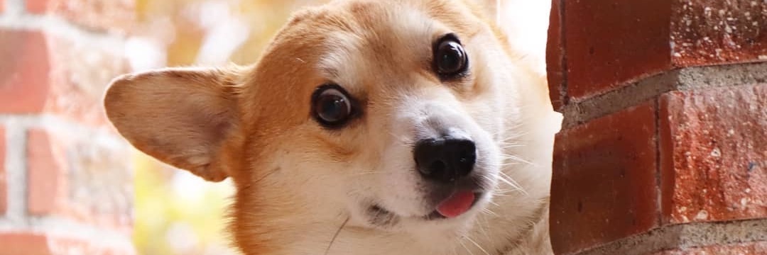 unknownnn_69's profile banner image