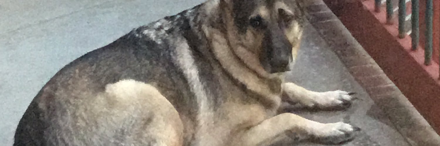 anotherStanimal's profile banner image