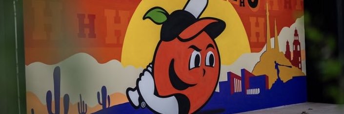 LS9🇫🇮🍊 banner