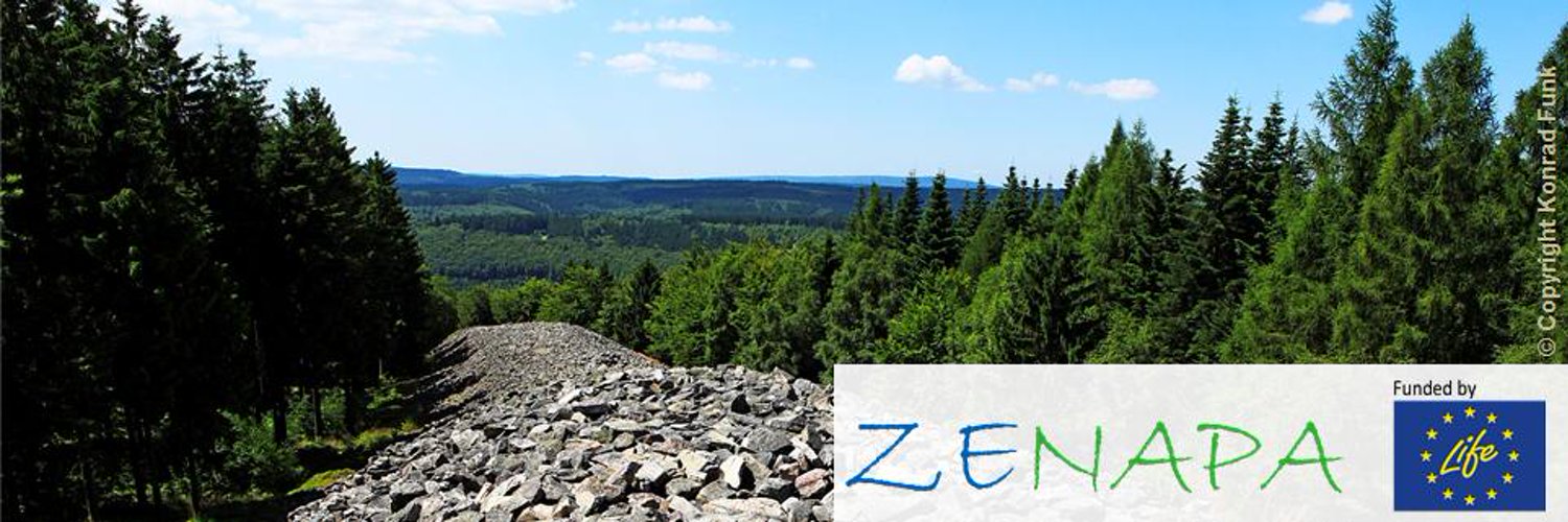 ZENAPA banner