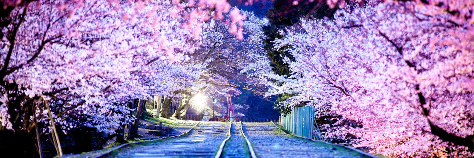 K_EmLInE🦋 banner