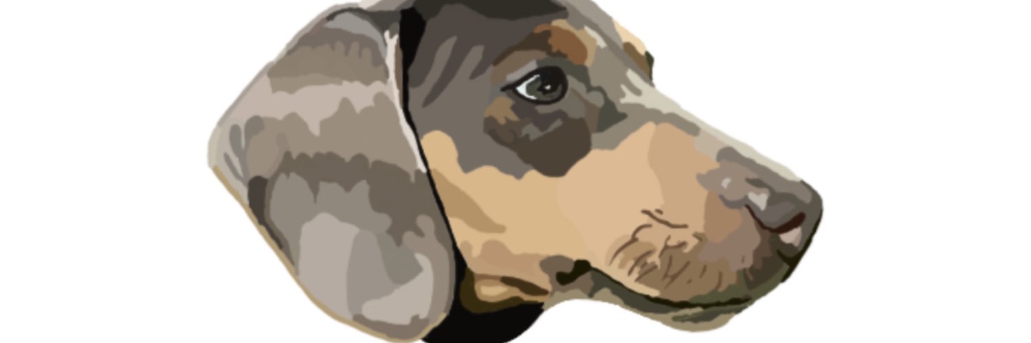 dilutedachshund's profile banner image