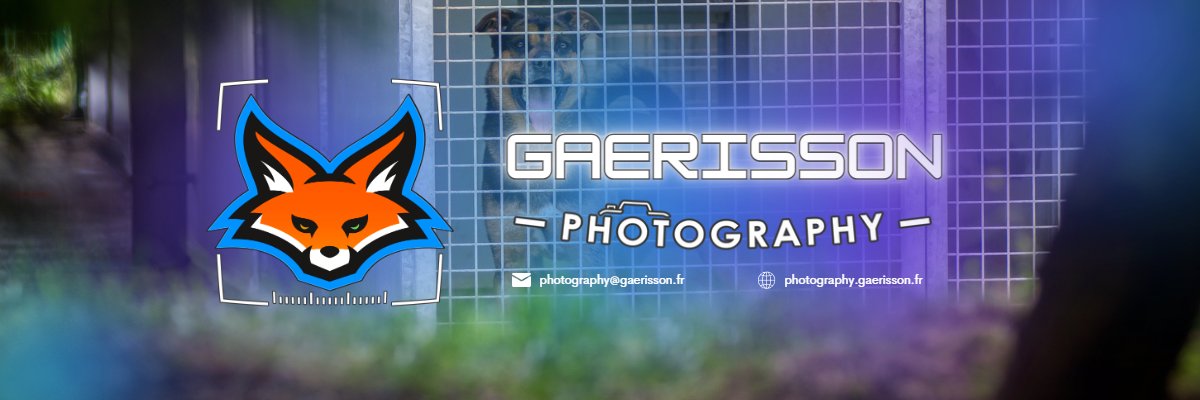 Gaerisson's profile banner image