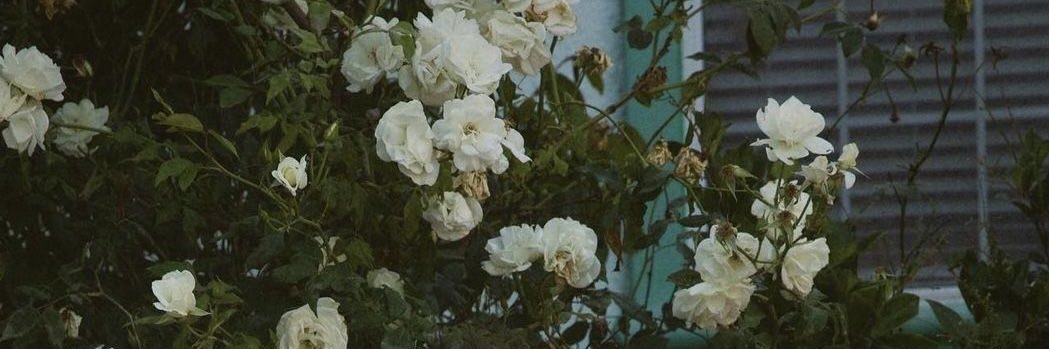 Amna__197's profile banner image