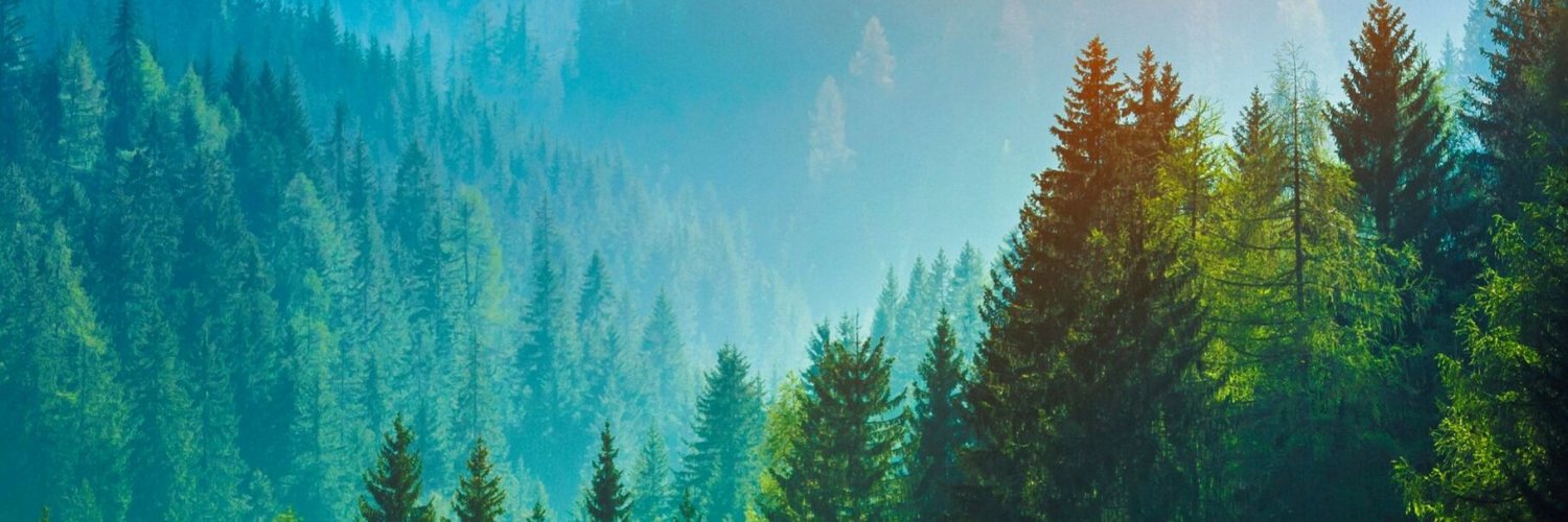 Fardous Hosseiny banner