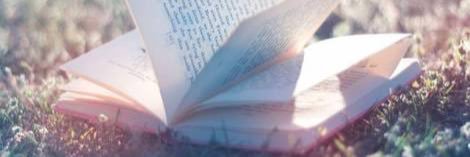 lizatheory's profile banner image