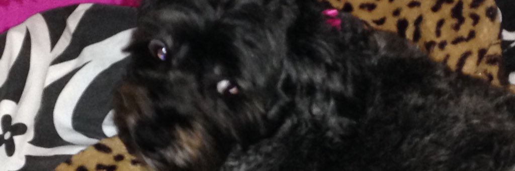 annie1326's profile banner image