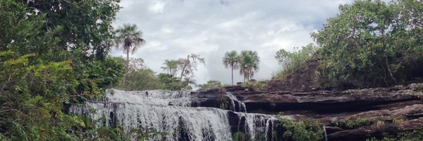 1WaterKat Profile Banner