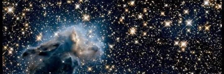 Daniel John Paxton banner