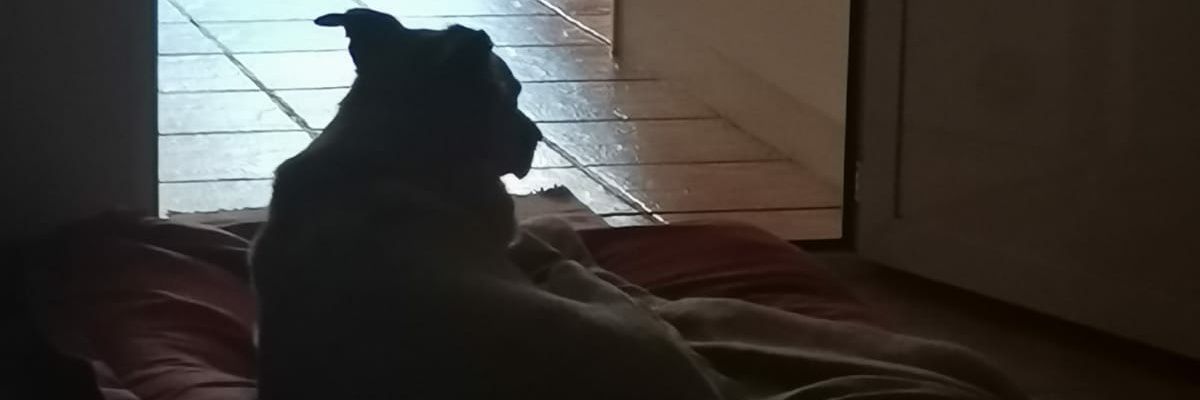 Enrique Peinado banner
