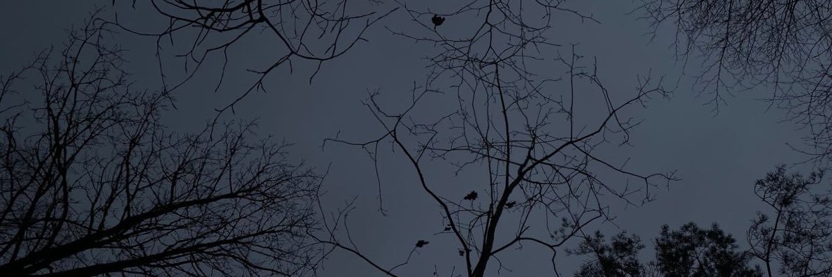 EatMashed's profile banner image