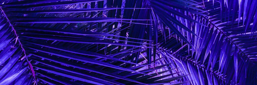 Pashuk_Liza's profile banner image
