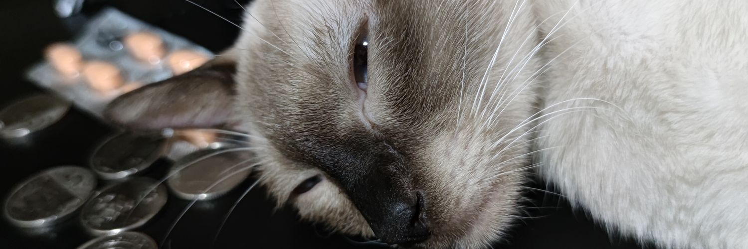 thisisraiden's profile banner image