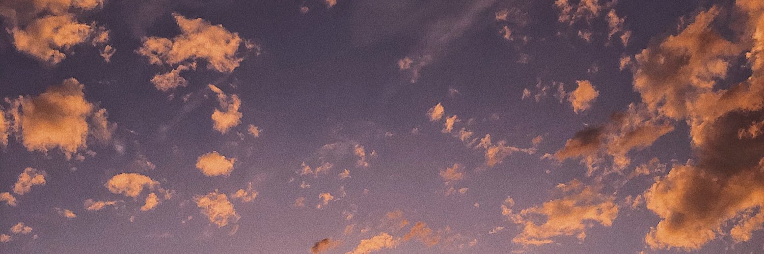 laurarevv's profile banner image