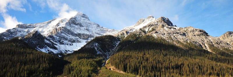 Steven C. Stroud banner