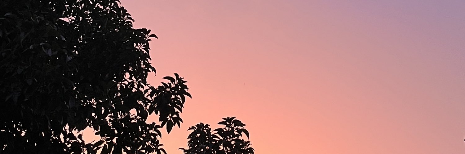 velvetboy1's profile banner image