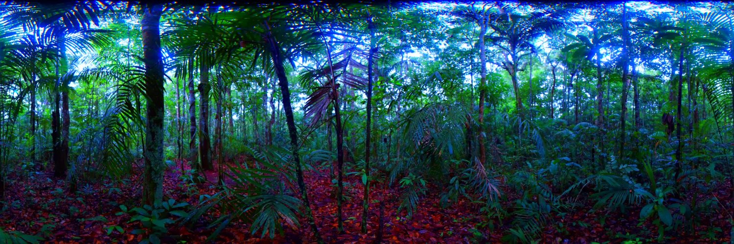 BGU108's profile banner image