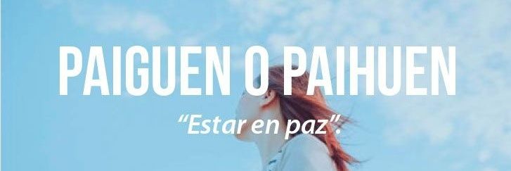 PillyconDobleL banner