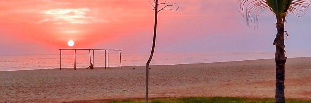 Ricardo Ponzoni ☕🎵🚴‍♂️🍷 banner