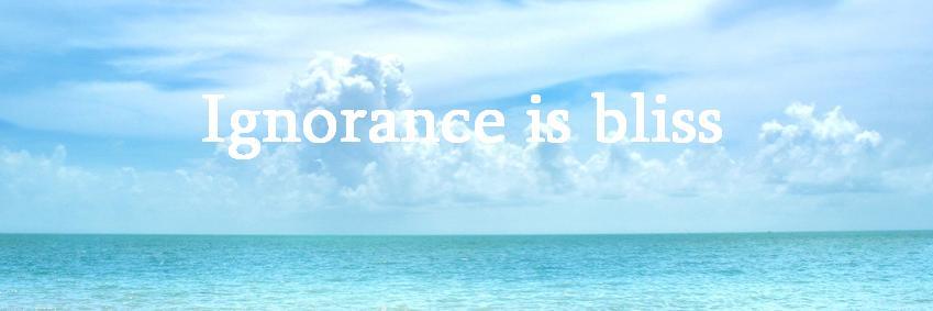milenaroc's profile banner image