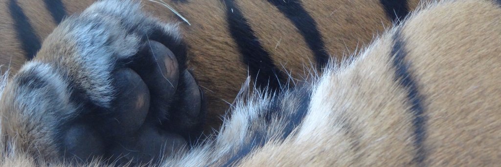 RandomKeeper's profile banner image