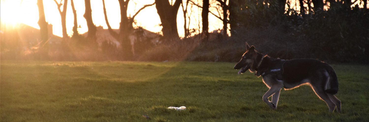 _ndavies_'s profile banner image