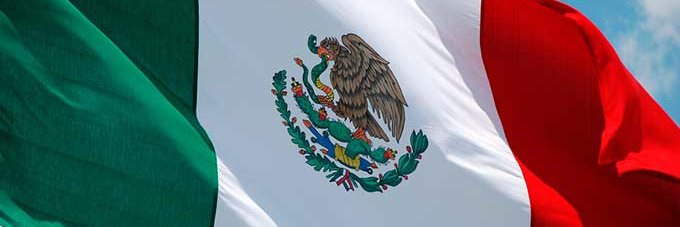 LuPeMex_'s profile banner image
