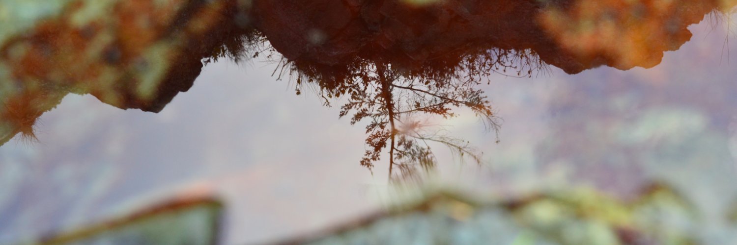 JessicaLepp_BC's profile banner image