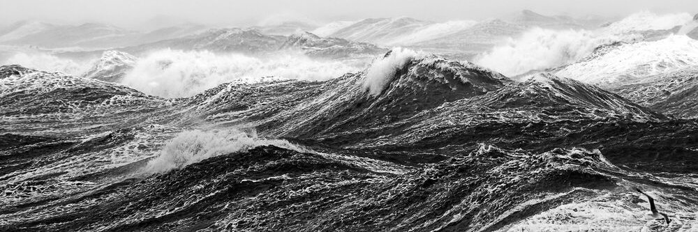henrigastonchamiteux banner