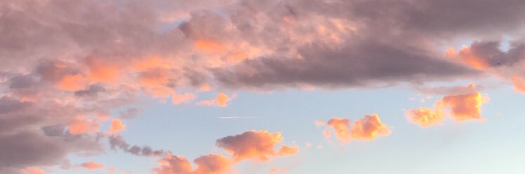 zoeatrd's profile banner image