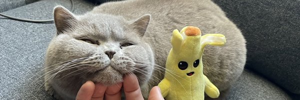 a1rnest Profile Banner
