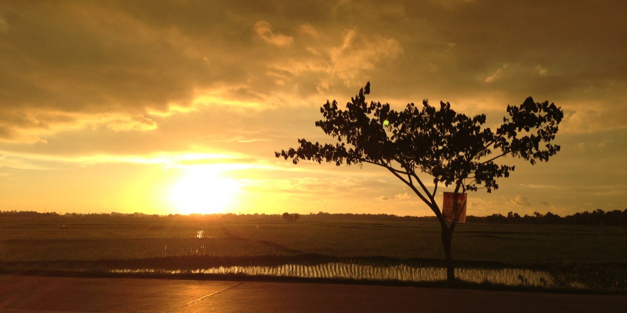 peet_ree's profile banner image