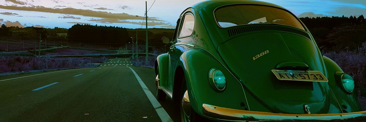 luizveronesee's profile banner image