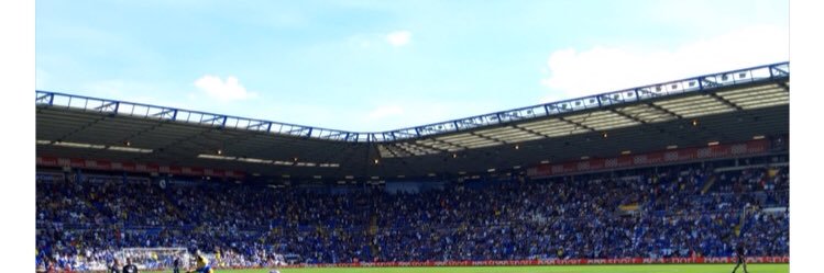 seabass banner
