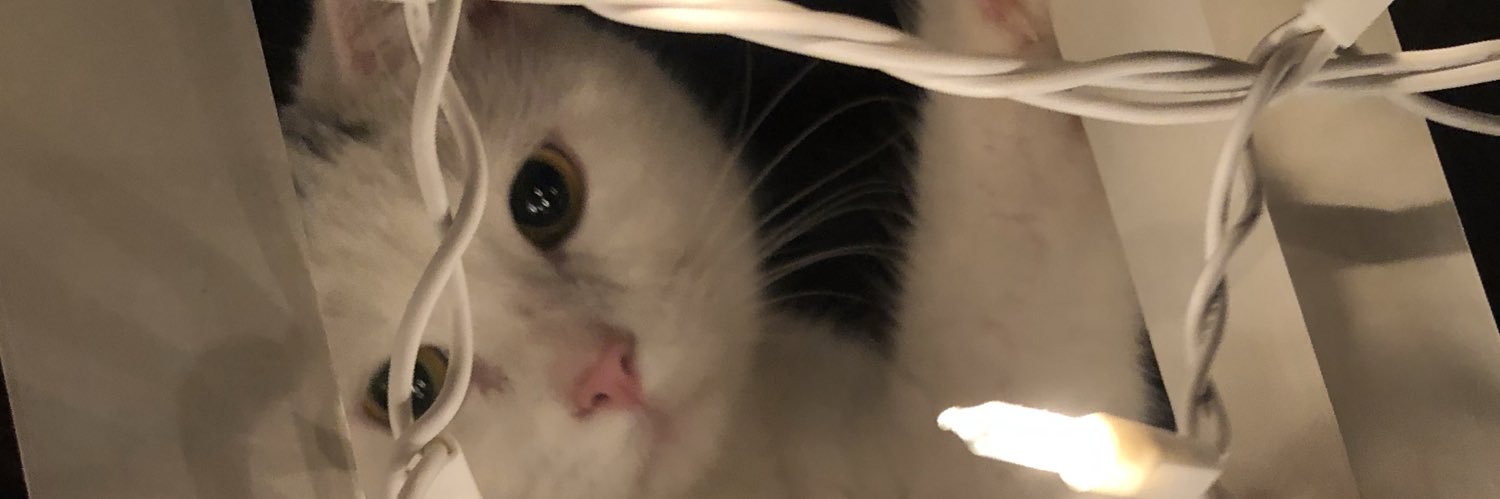 mlaue37's profile banner image