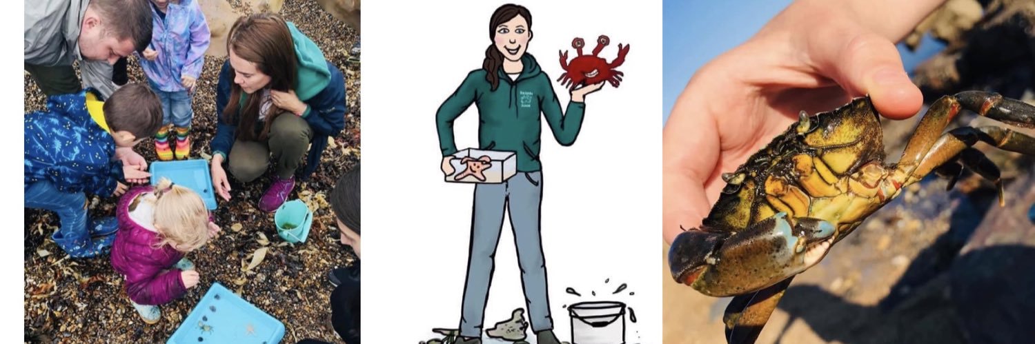 Rockpool School banner