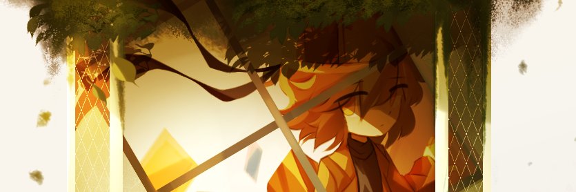 Nafer 🇧🇷 banner