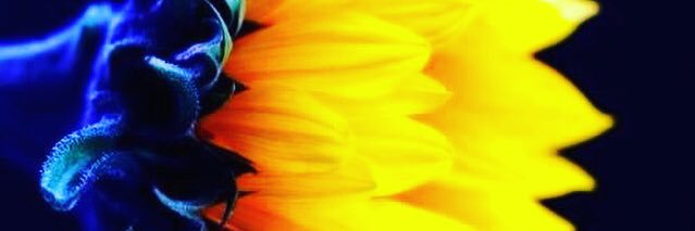 ItsThisVictoria's profile banner image