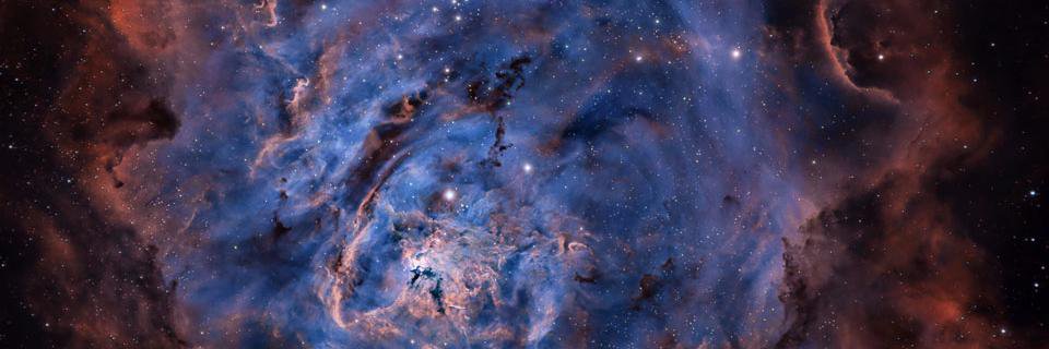 SexualScientist's profile banner image