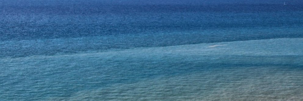 Michael Strauss banner