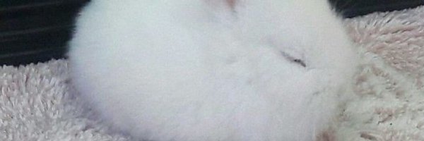 yeppurs_ Profile Banner