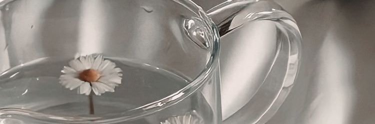 msol_dp's profile banner image
