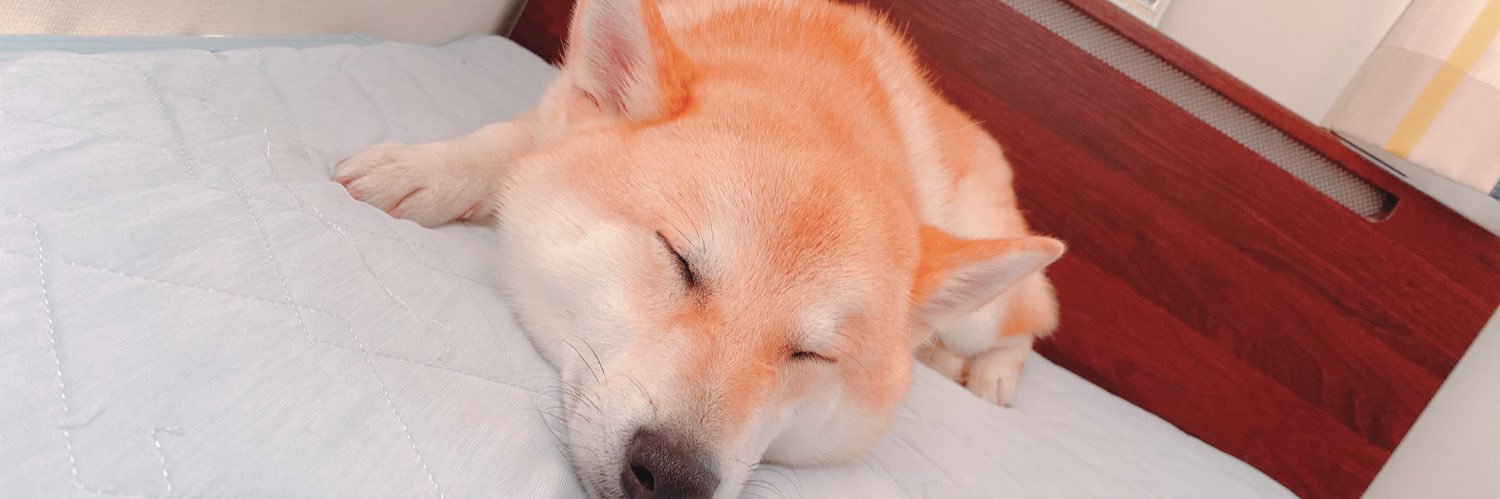 れれもぉぉぉぉぉぉ banner