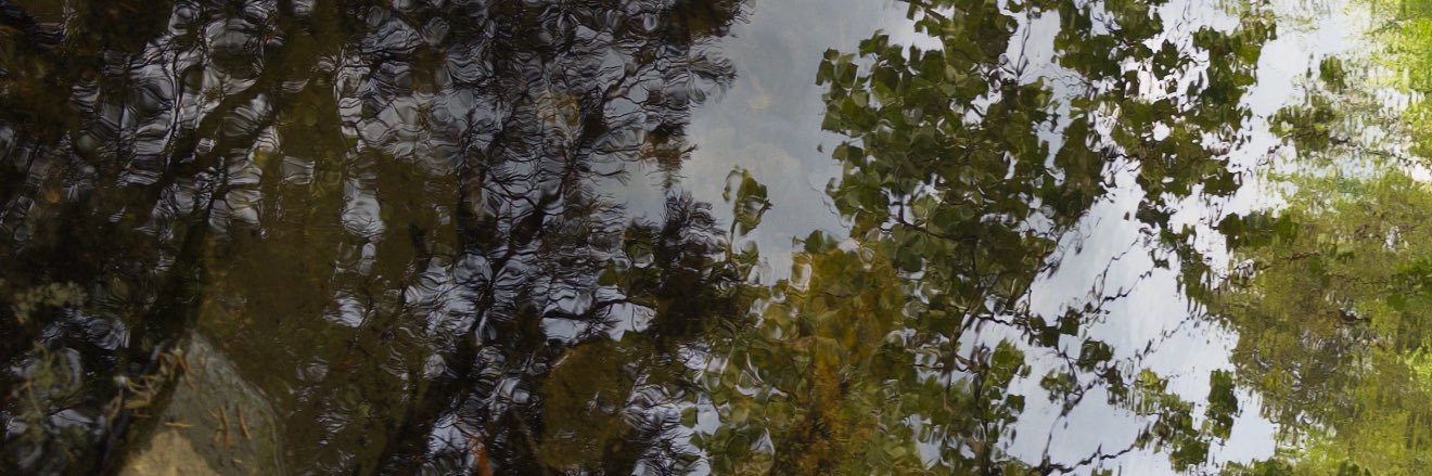 mltgmt's profile banner image