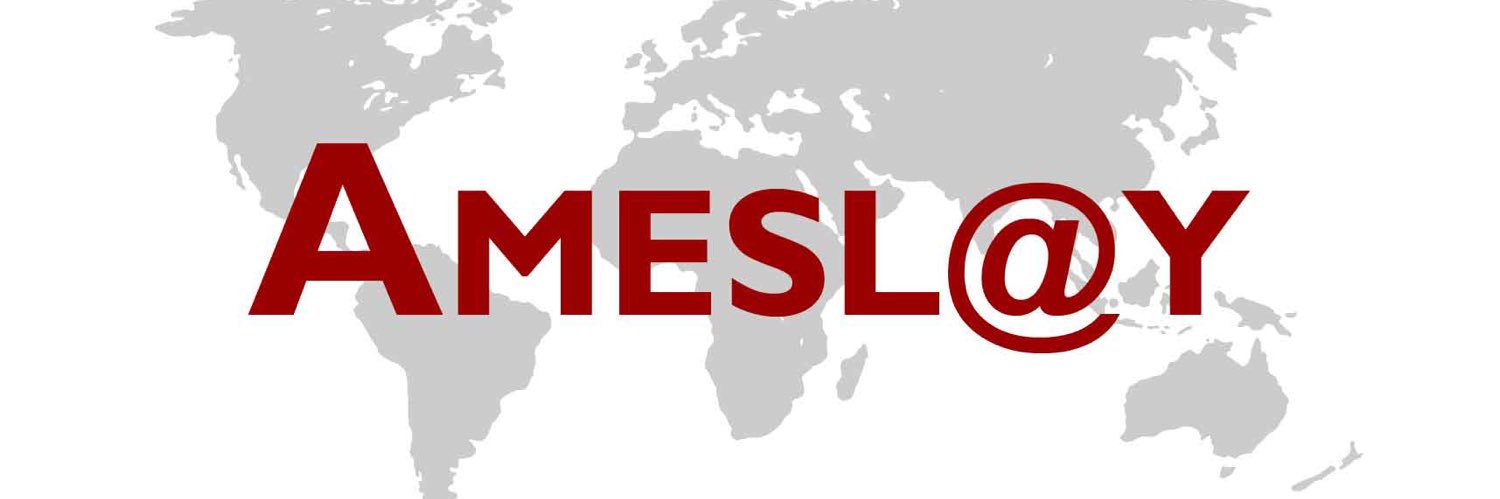 Ameslay banner