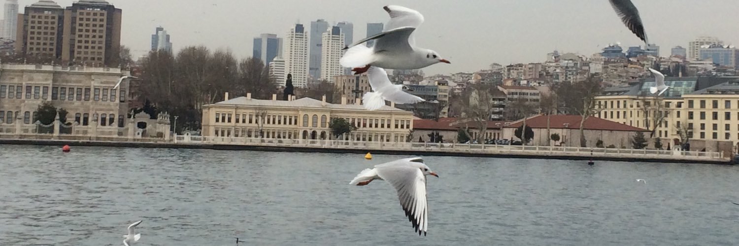 arzuhindioglu's profile banner image