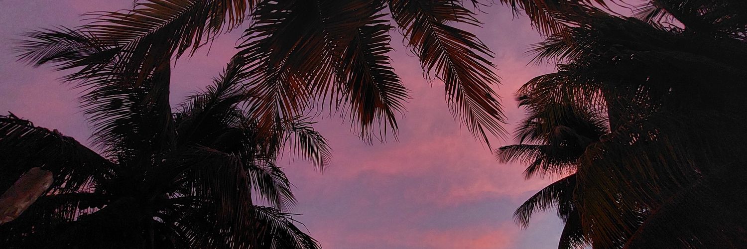 patysoliis's profile banner image