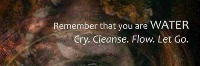 chey (she/they) banner