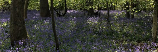 Cogs39 Profile Banner